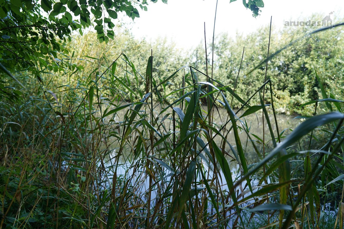 Šilutės rajone, Lankupių kaime, Žolynų g. - nuotraukos Nr. 78