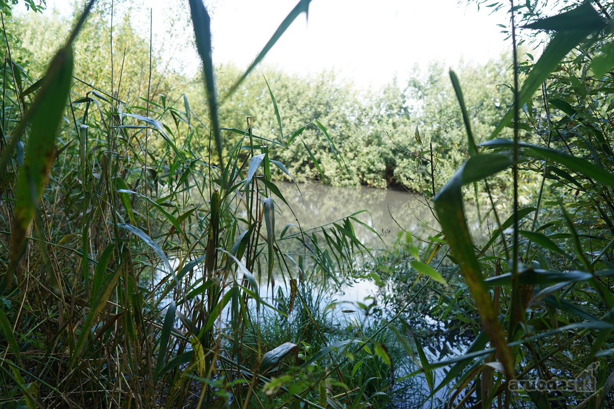 Šilutės rajone, Lankupių kaime, Žolynų g. - nuotraukos Nr. 79