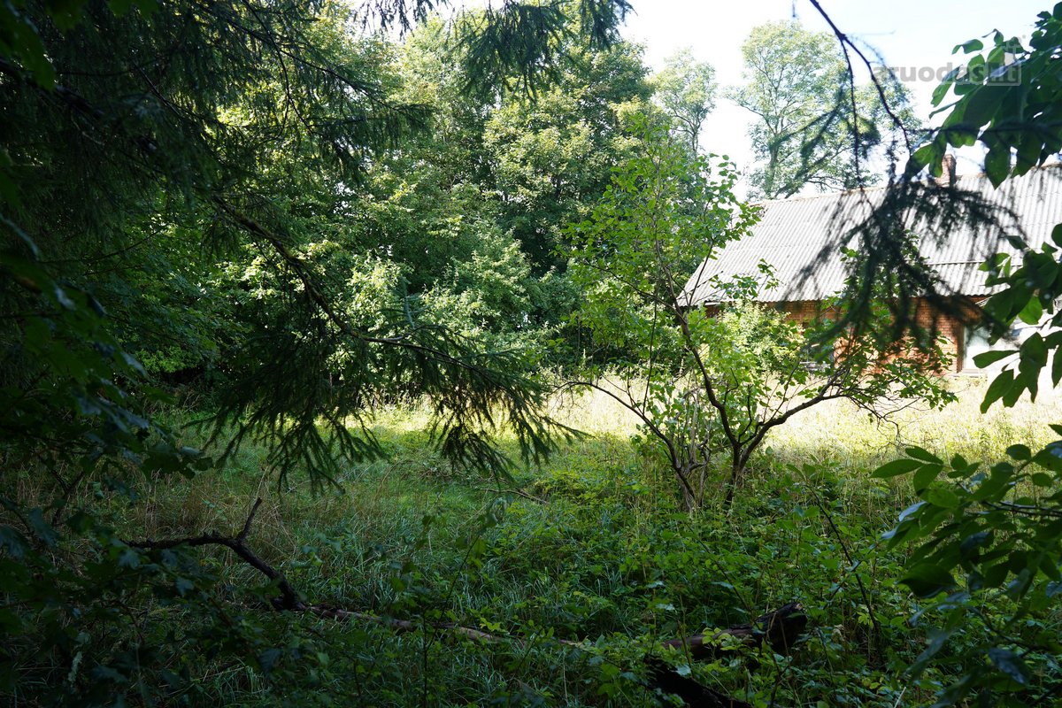 Šilutės rajone, Lankupių kaime, Žolynų g. - nuotraukos Nr. 84