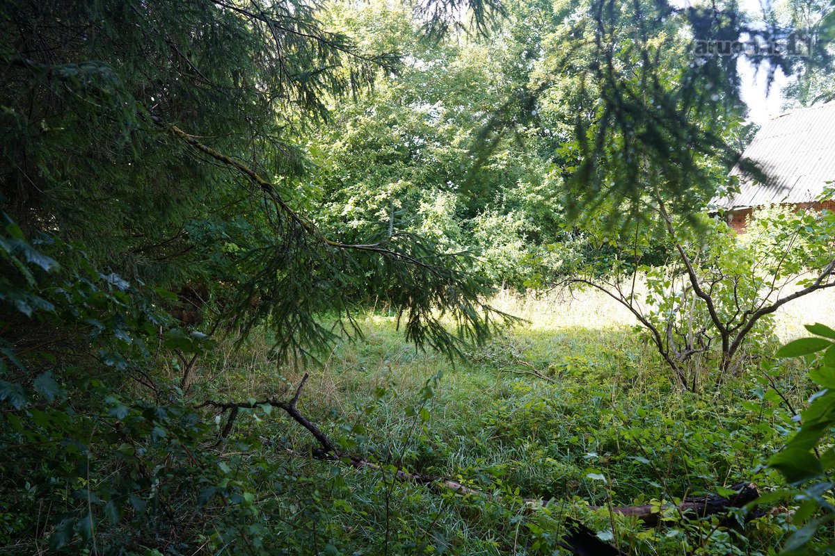 Šilutės rajone, Lankupių kaime, Žolynų g. - nuotraukos Nr. 85