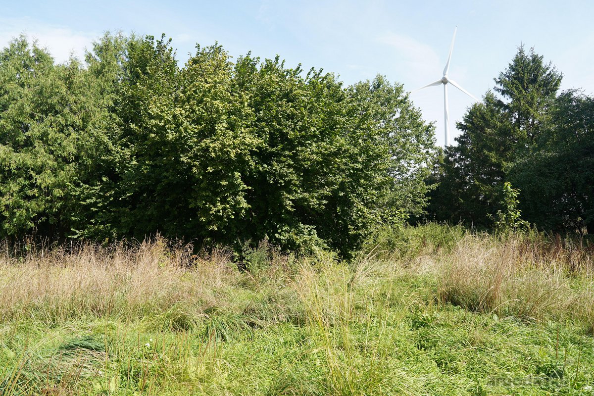 Šilutės rajone, Lankupių kaime, Žolynų g. - nuotraukos Nr. 86