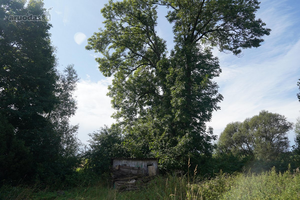 Šilutės rajone, Lankupių kaime, Žolynų g. - nuotraukos Nr. 87
