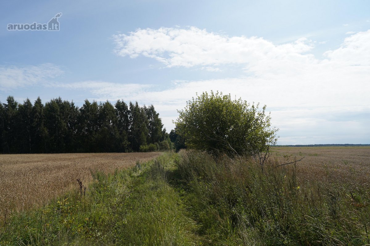 Šilutės rajone, Lankupių kaime, Žolynų g. - nuotraukos Nr. 89