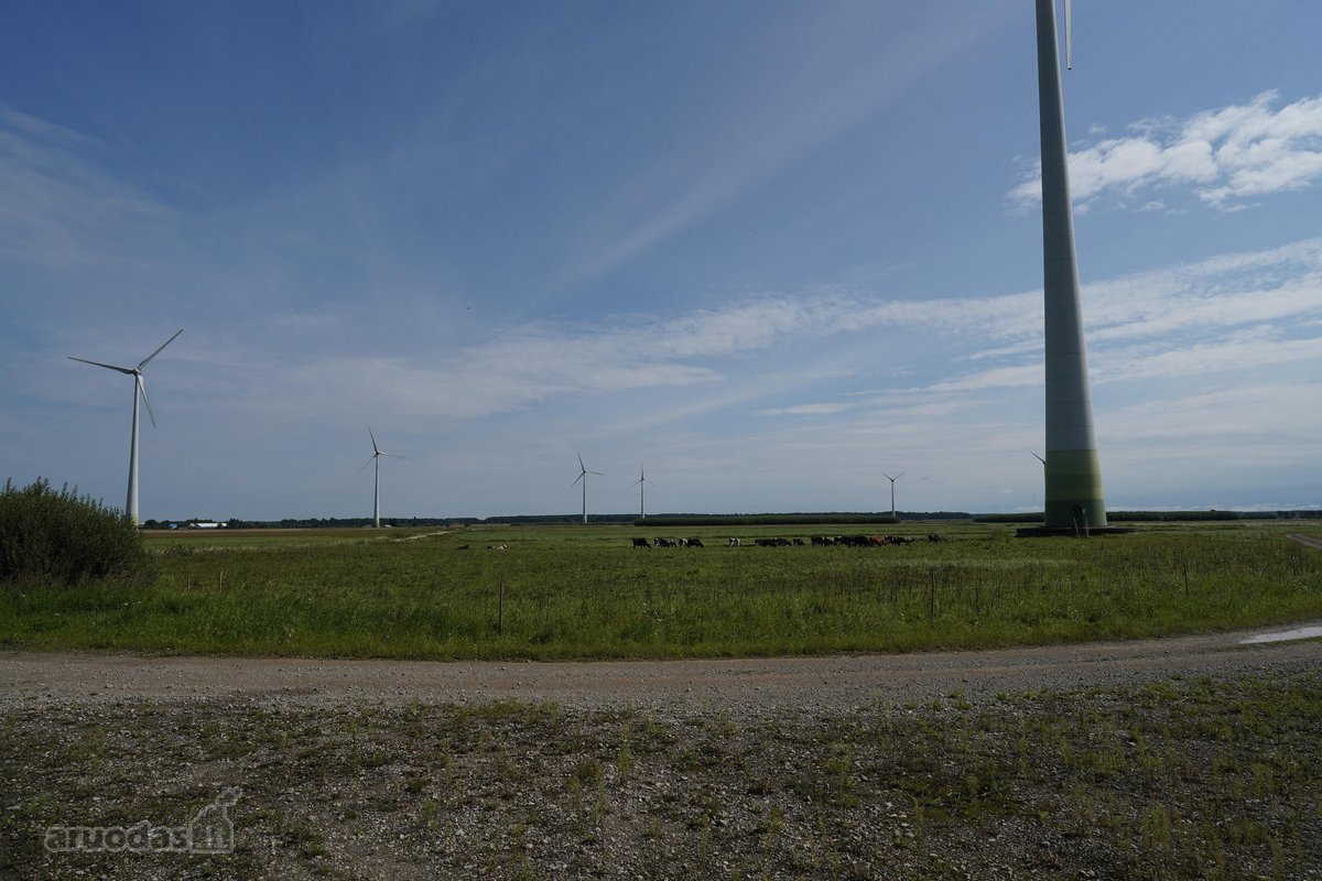 Šilutės rajone, Lankupių kaime, Žolynų g. - nuotraukos Nr. 90