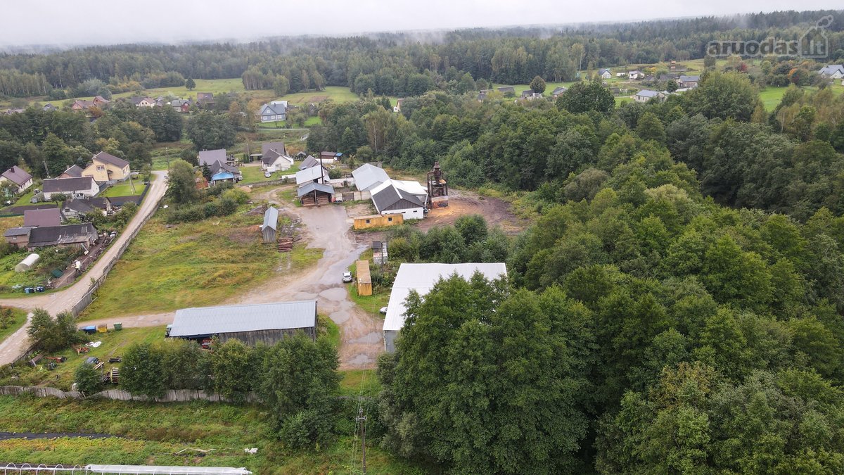 Arduodamas 1,3749 ha žemės sklypas su - nuotraukos Nr. 9