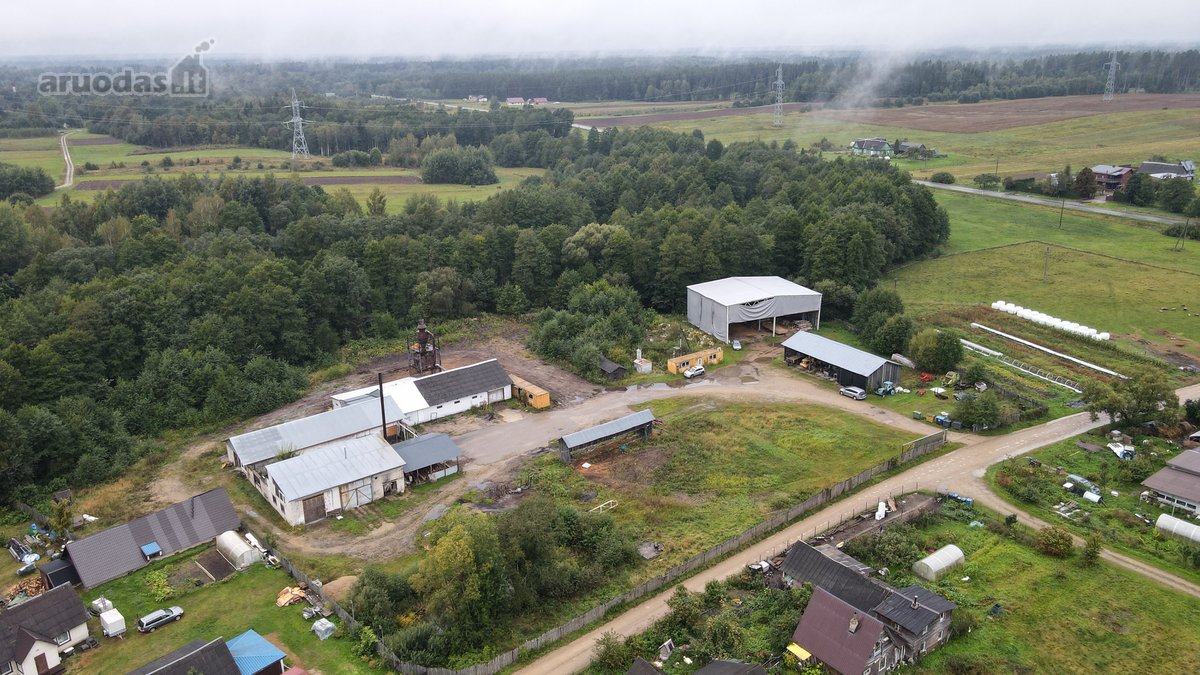 Arduodamas 1,3749 ha žemės sklypas su - nuotraukos Nr. 6