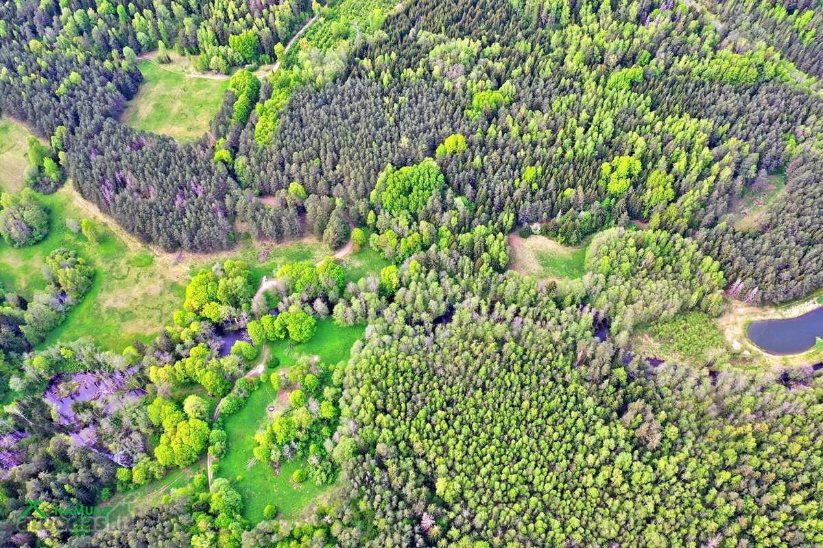 Parduodama sodybvietė ant Zalvės upės kranto, - nuotraukos Nr. 5