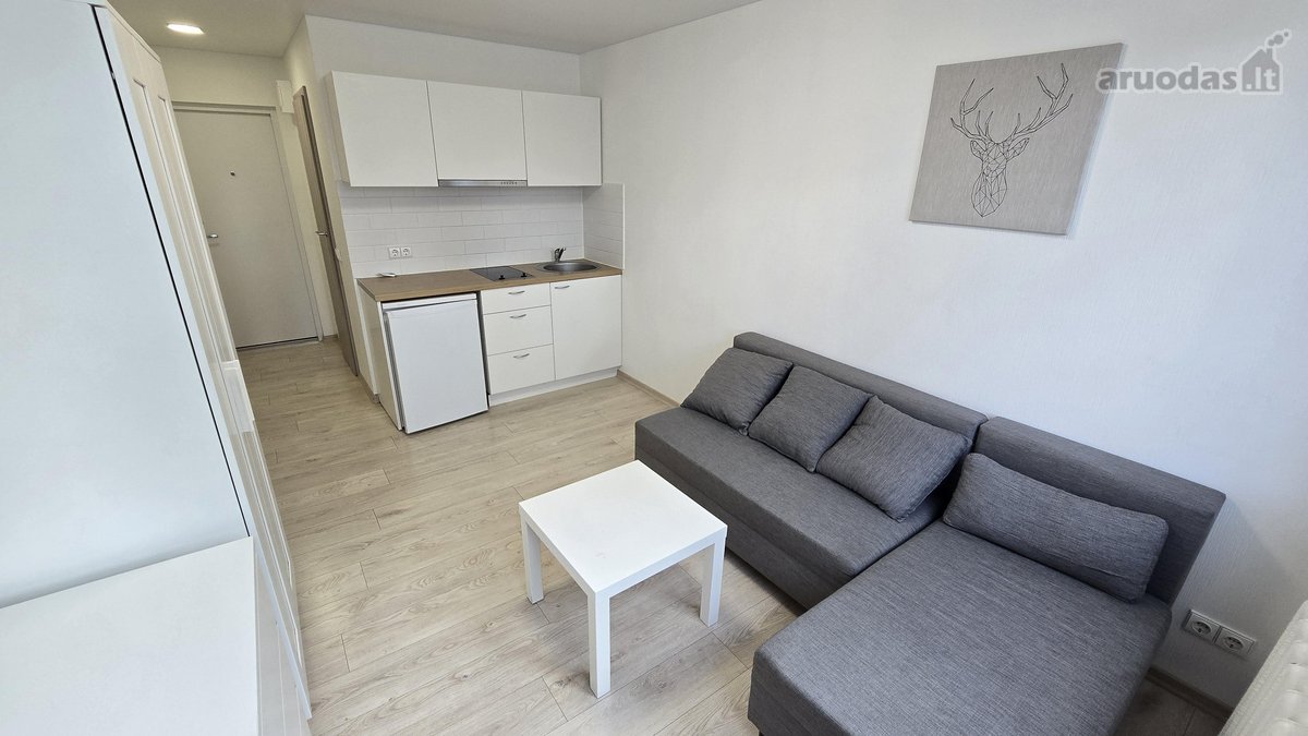 Išnuomojamas tvarkingas studio tipo butas - nuotraukos Nr. 2