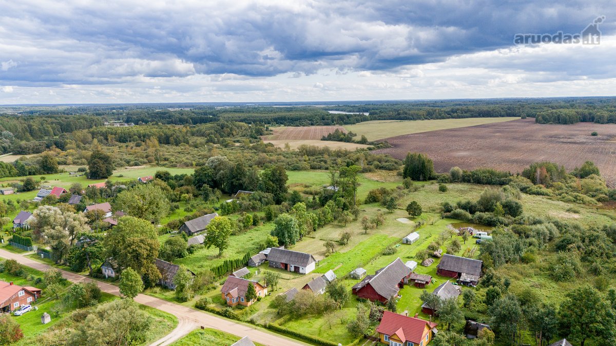 Parduodama erdvi 44 arų sodyba su statiniais - nuotraukos Nr. 4