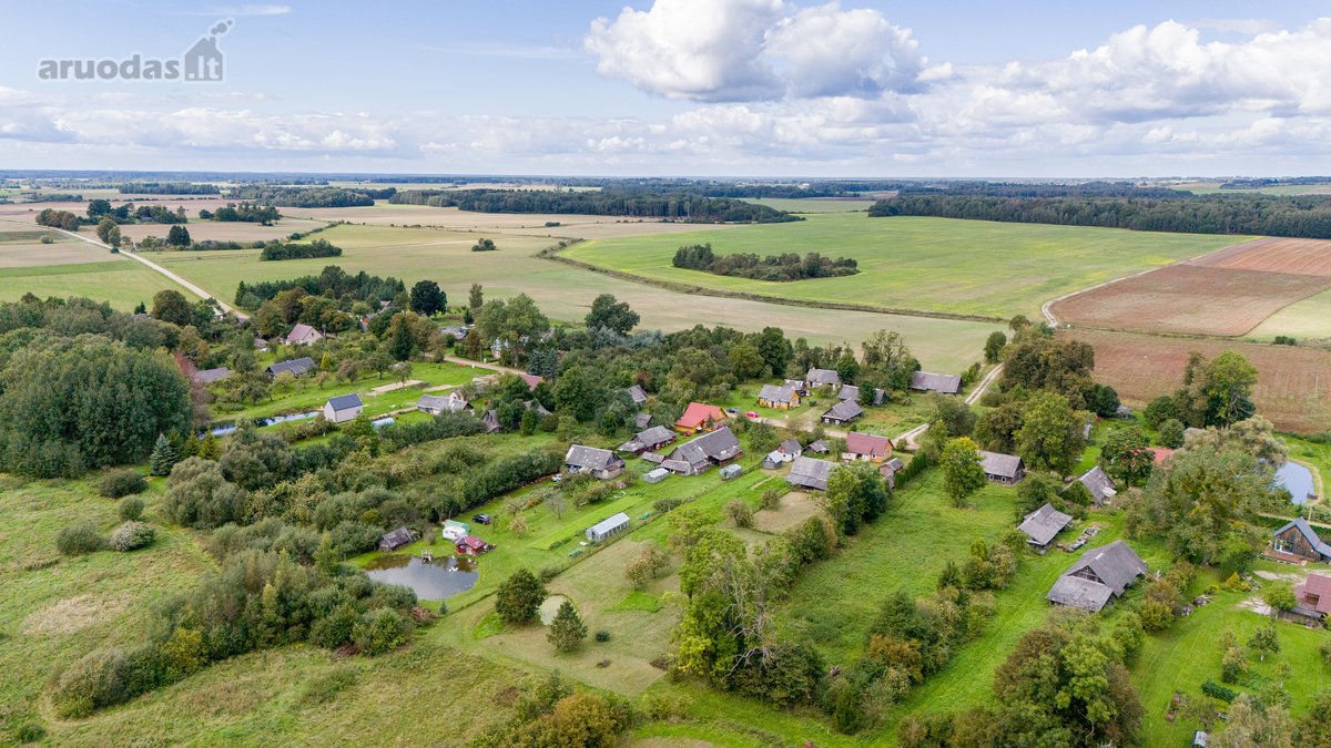 Parduodama erdvi 44 arų sodyba su statiniais - nuotraukos Nr. 8