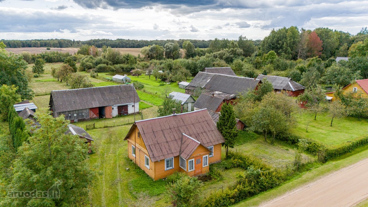 Parduodama erdvi 44 arų sodyba su statiniais - nuotraukos Nr. 10