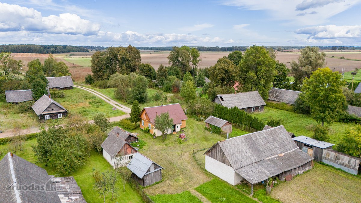 Parduodama erdvi 44 arų sodyba su statiniais - nuotraukos Nr. 11