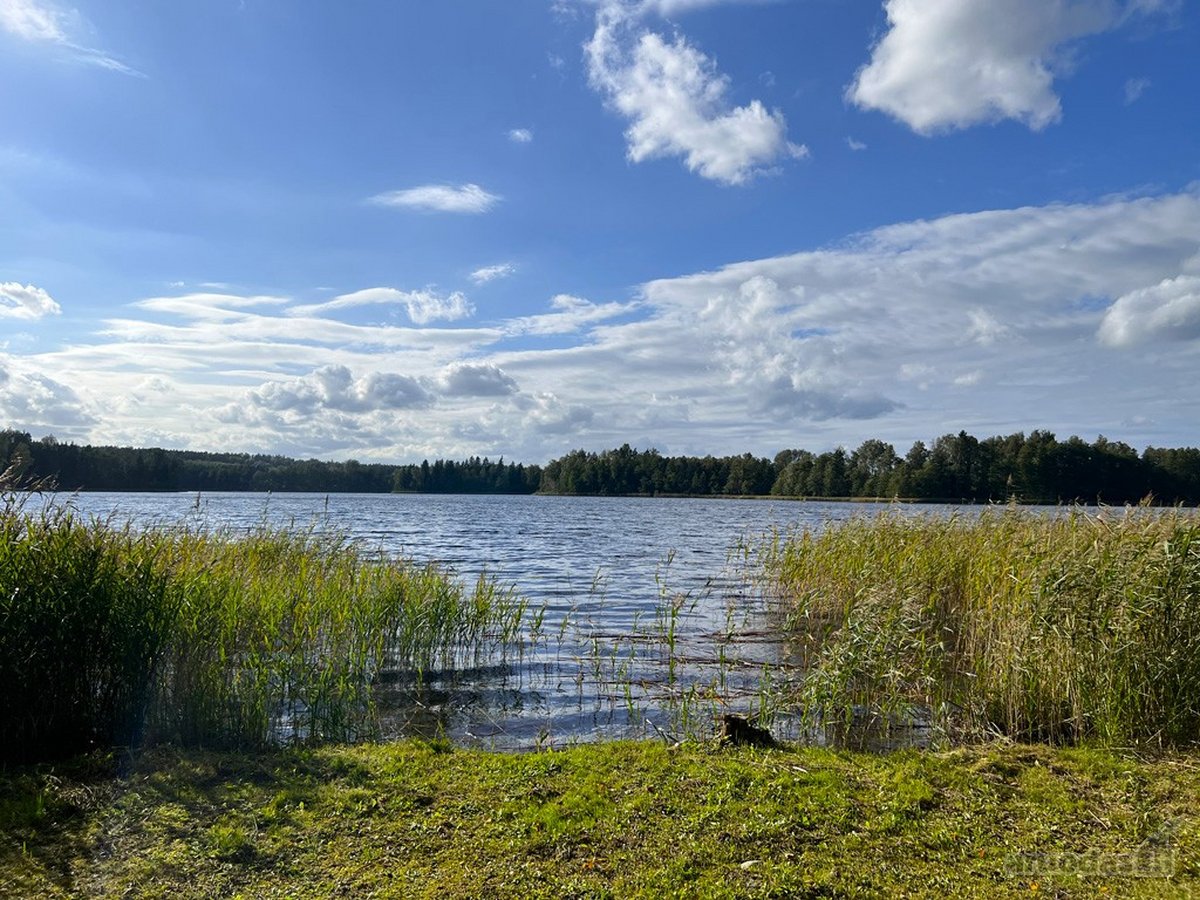 Viskas Viename Sklypų Masyve: Ežero Pakrantė, - nuotraukos Nr. 3
