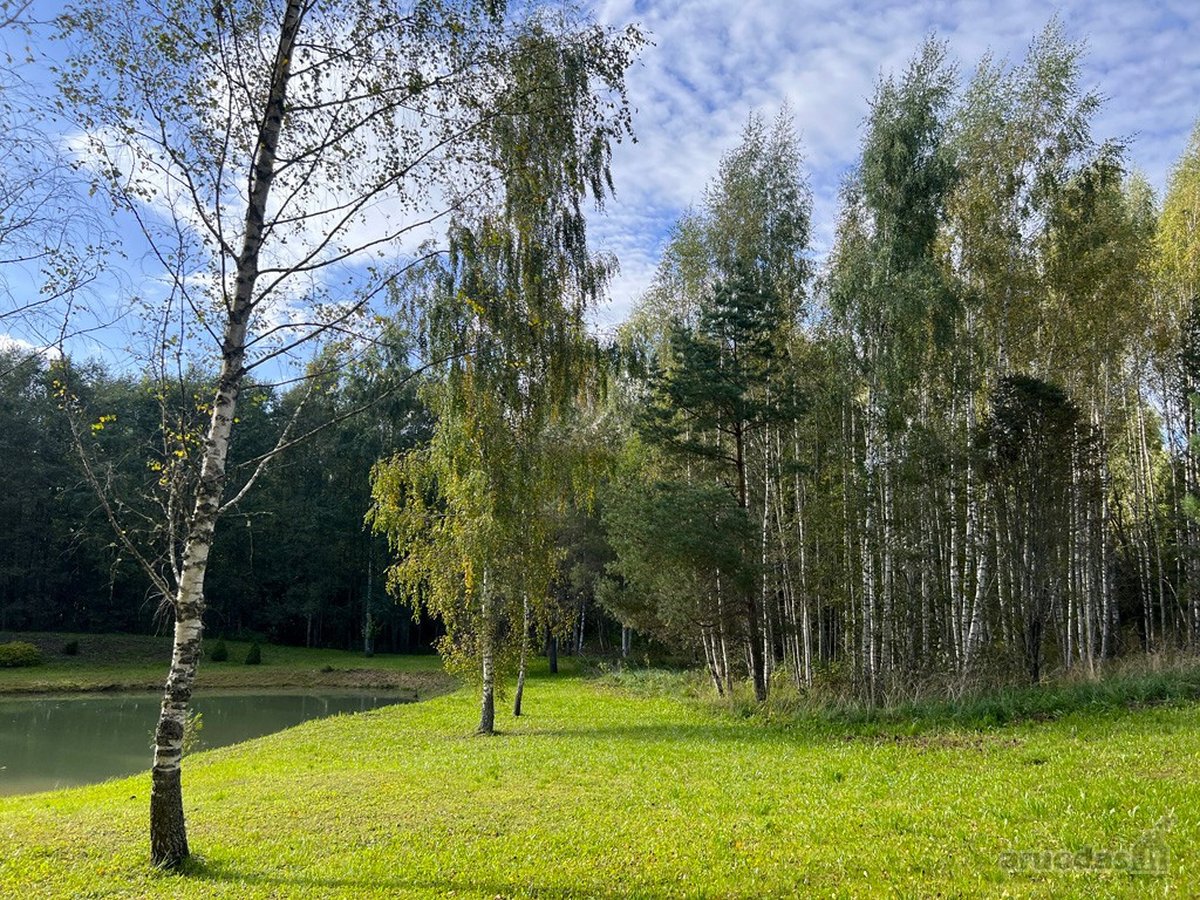 Viskas Viename Sklypų Masyve: Ežero Pakrantė, - nuotraukos Nr. 22