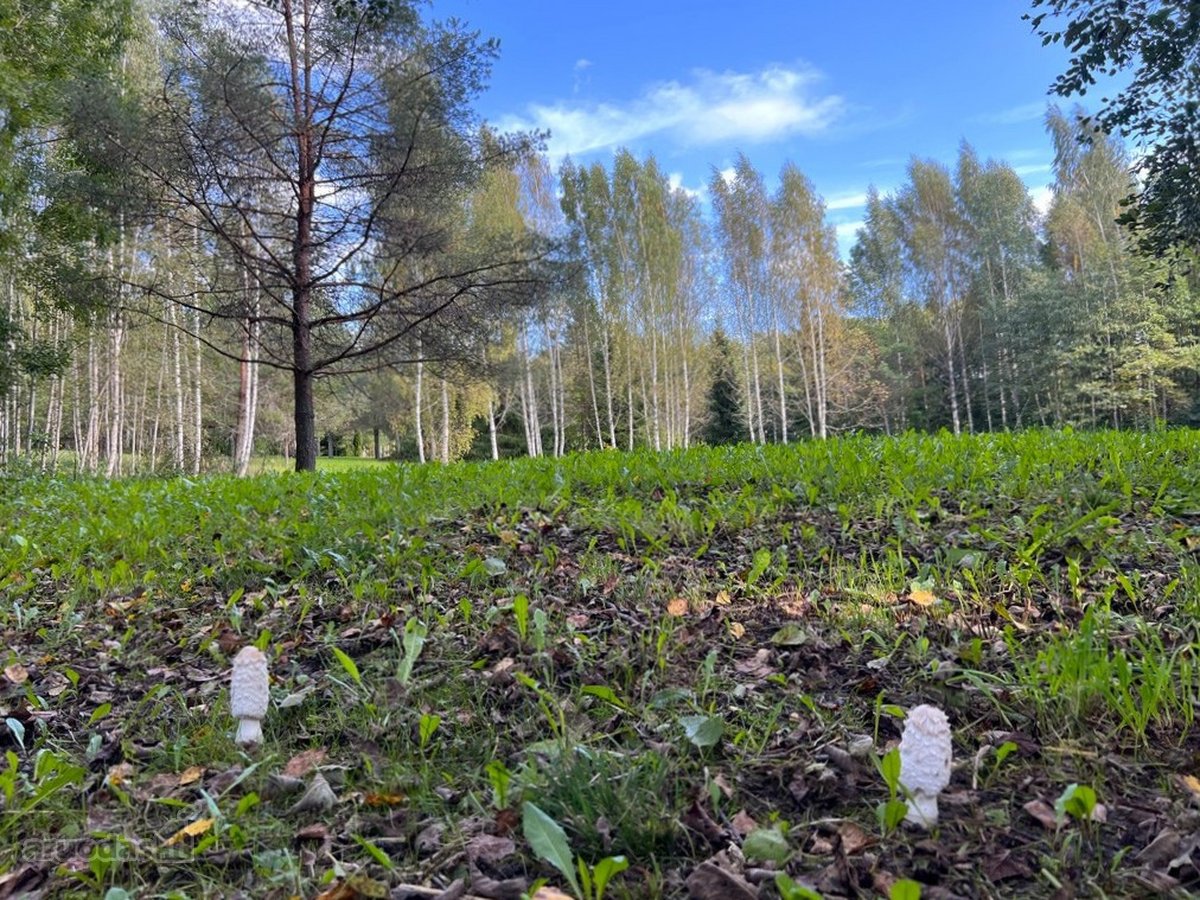 Viskas Viename Sklypų Masyve: Ežero Pakrantė, - nuotraukos Nr. 27