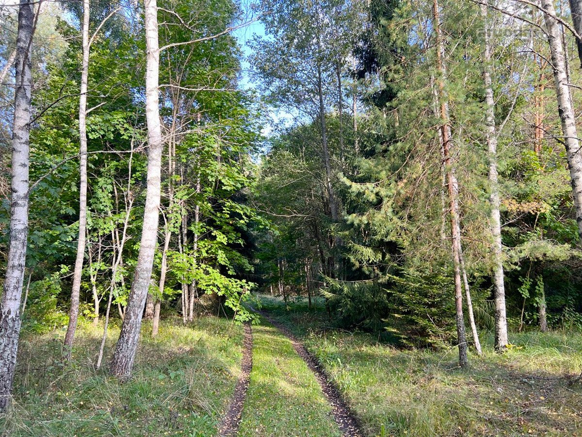 Viskas Viename Sklypų Masyve: Ežero Pakrantė, - nuotraukos Nr. 29