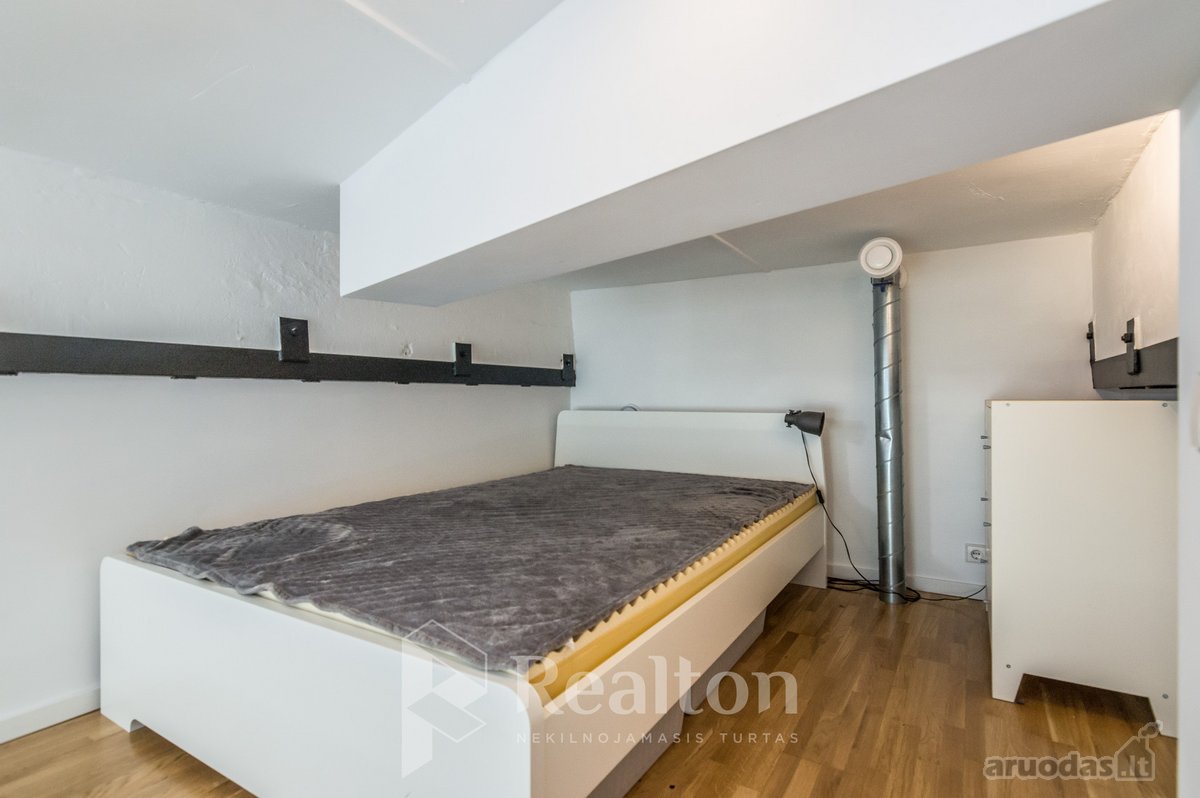 Išnuomojamas Šviesus Ir Ekonomiškas Lofto - nuotraukos Nr. 11