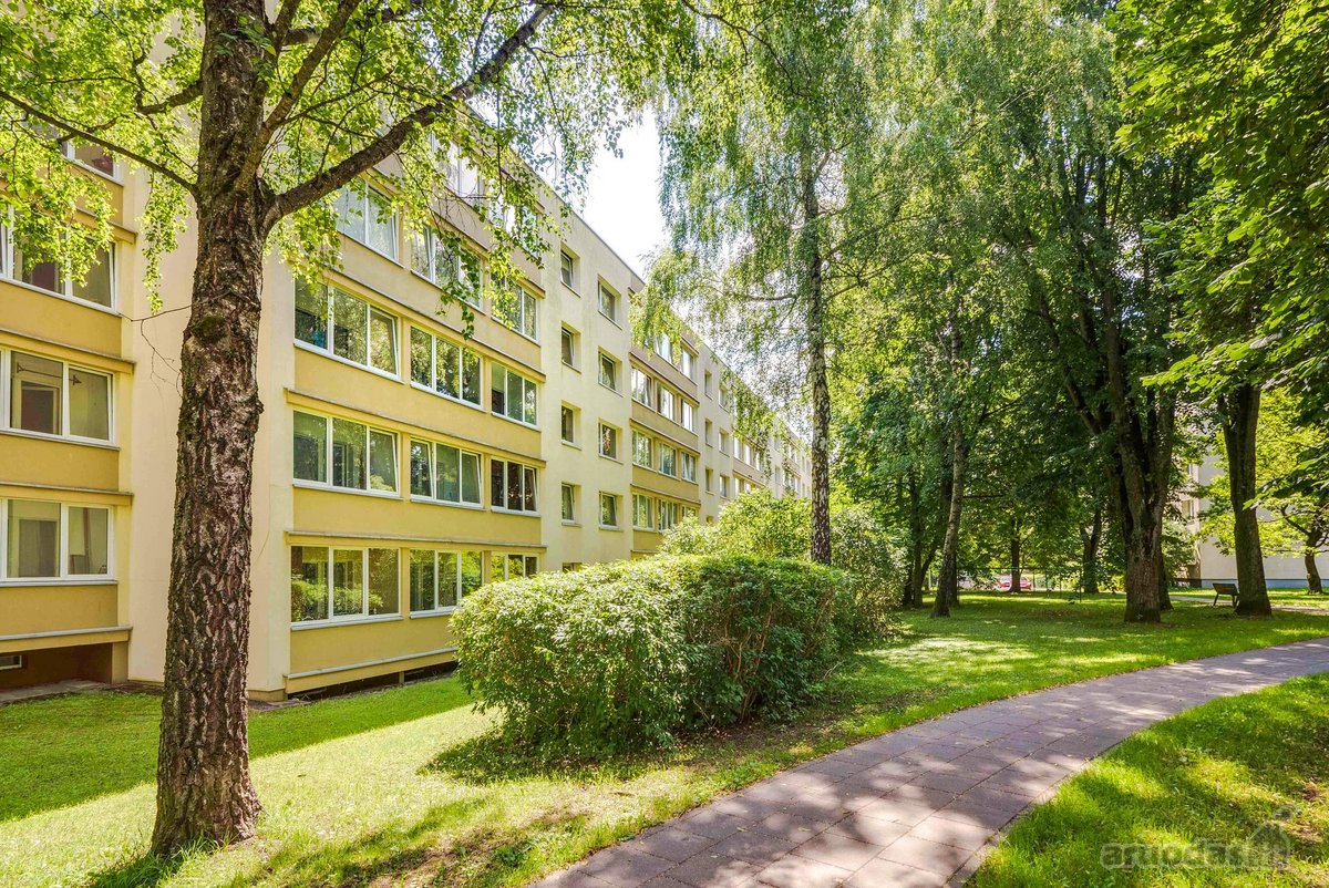 Šviesus, Erdvus, Tylus 4 Kambarių Butas - nuotraukos Nr. 26