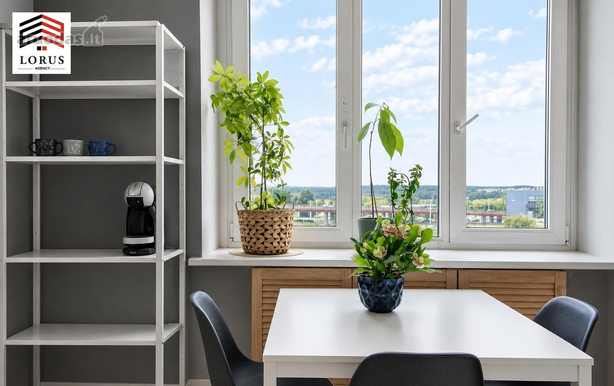 Erdvus 3 Kambarių Butas Šalia Vingio Parko – - nuotraukos Nr. 6