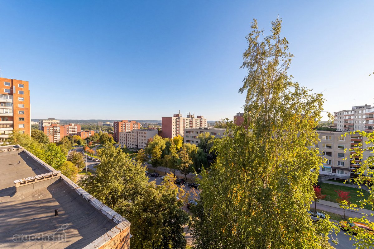 Parduodame erdvų, labai šviesų vieno kambario - nuotraukos Nr. 9