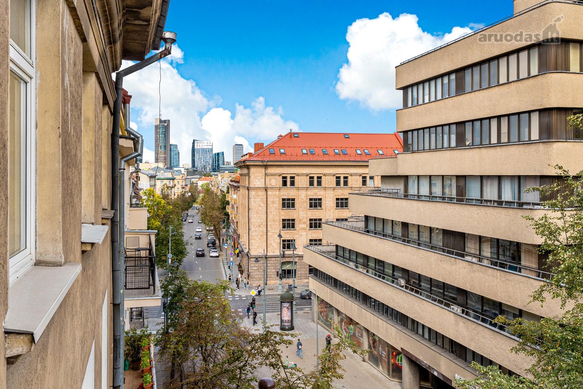 Šviesus 2 kambarių butas A. Stulginskio g., - nuotraukos Nr. 12