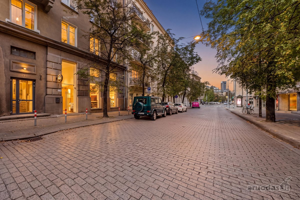 Šviesus 2 kambarių butas A. Stulginskio g., - nuotraukos Nr. 30