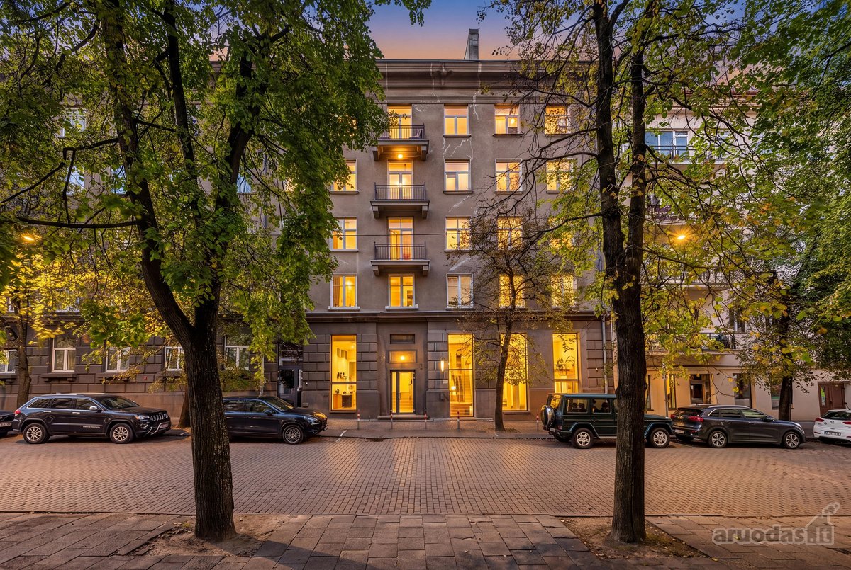 Šviesus 2 kambarių butas A. Stulginskio g., - nuotraukos Nr. 31