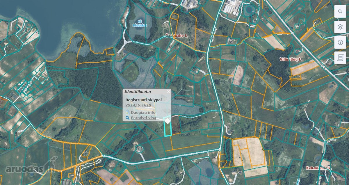 Vievininkuose parduodamas 1,0553 ha žemės - nuotraukos Nr. 2