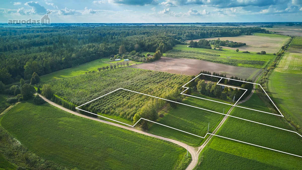 Parduodama Sodyba Su Žemės Sklypais - nuotraukos Nr. 16