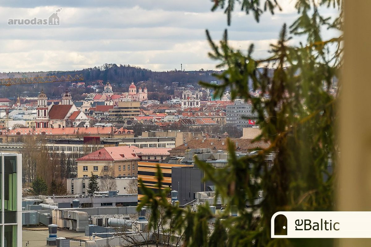 Nuomojamas erdvus namas išskirtinėje vietoje - nuotraukos Nr. 13