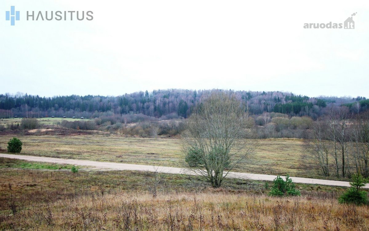 Parduodami Du 31,7 Ha. Bendro Ploto Sklypai, - nuotraukos Nr. 11