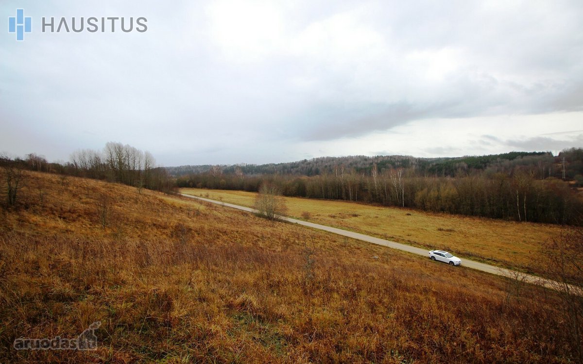 Parduodami Du 31,7 Ha. Bendro Ploto Sklypai, - nuotraukos Nr. 12