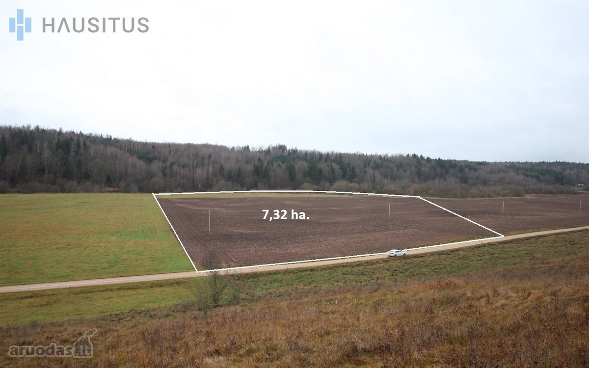 Parduodami Du 31,7 Ha. Bendro Ploto Sklypai, - nuotraukos Nr. 14