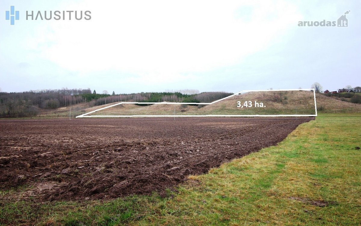 Parduodami Du 31,7 Ha. Bendro Ploto Sklypai, - nuotraukos Nr. 15