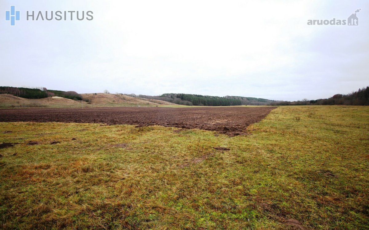 Parduodami Du 31,7 Ha. Bendro Ploto Sklypai, - nuotraukos Nr. 16