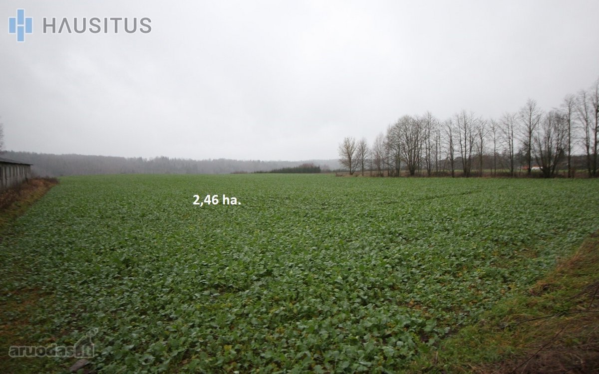Parduodami Du 31,7 Ha. Bendro Ploto Sklypai, - nuotraukos Nr. 17