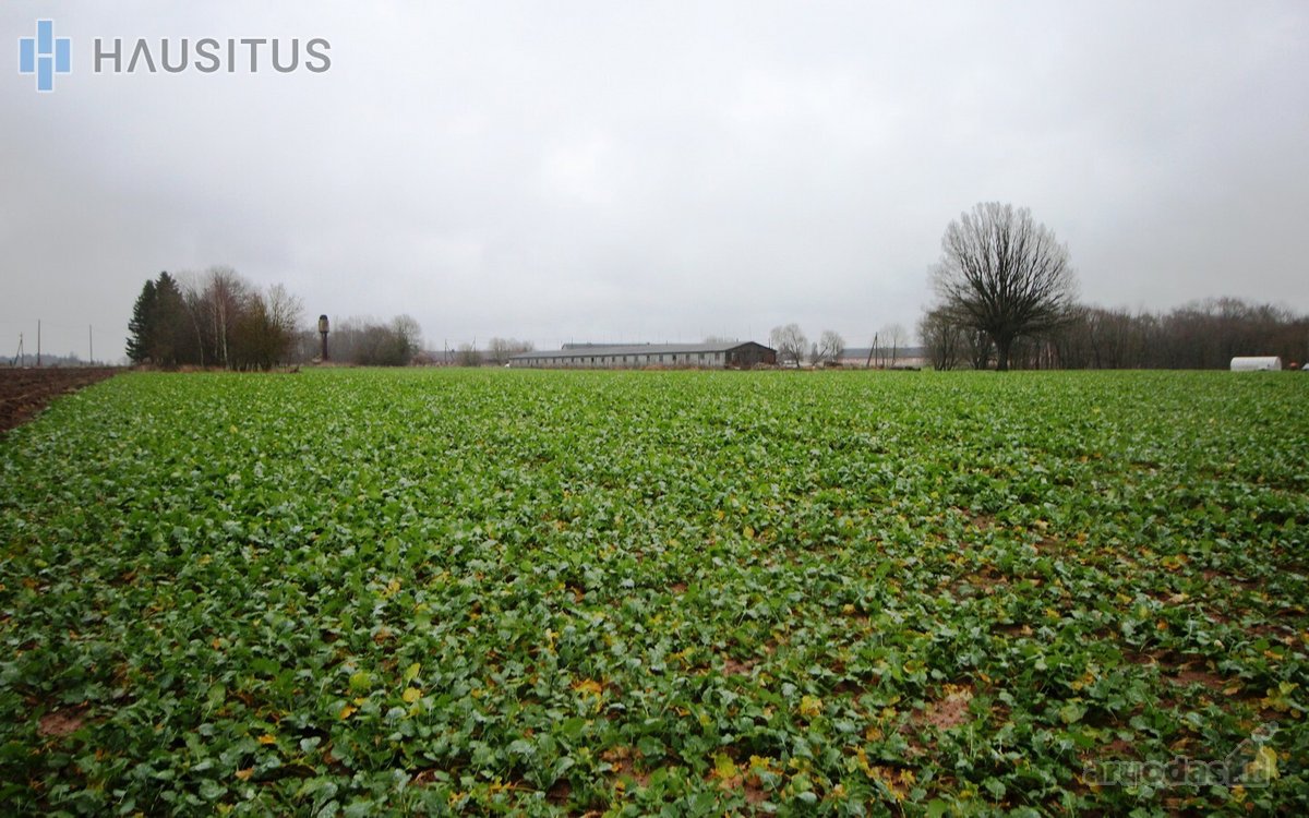 Parduodami Du 31,7 Ha. Bendro Ploto Sklypai, - nuotraukos Nr. 19