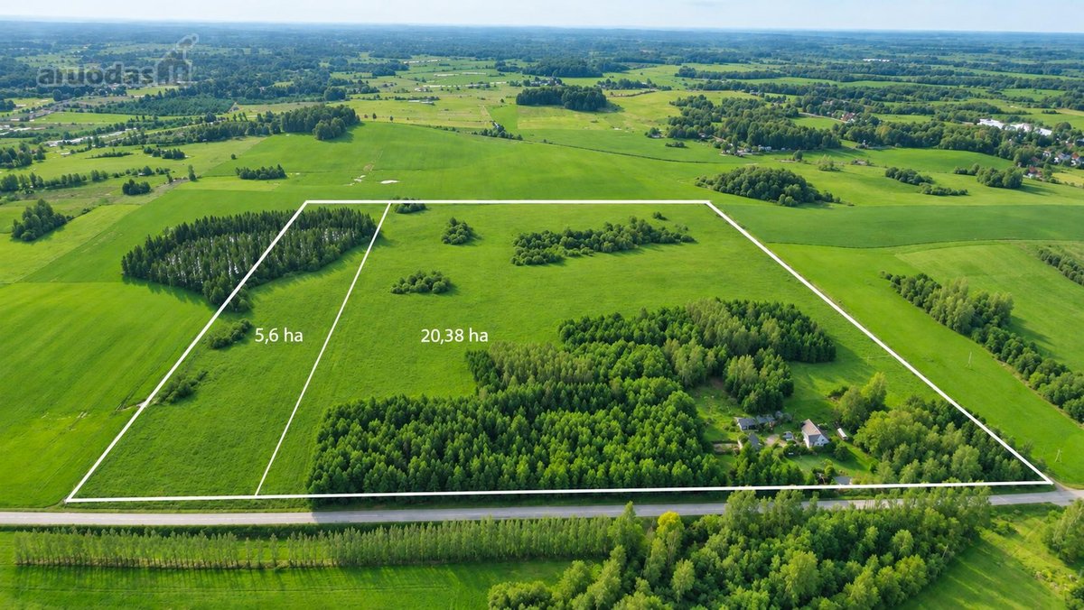 25,9855 Ha Žemės Ir Sodyba Už 135 000 €– - nuotraukos Nr. 2
