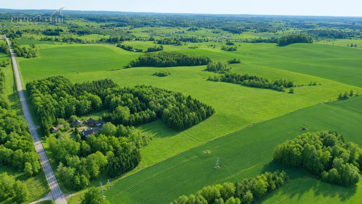 25,9855 Ha Žemės Ir Sodyba Už 135 000 €– - nuotraukos Nr. 3