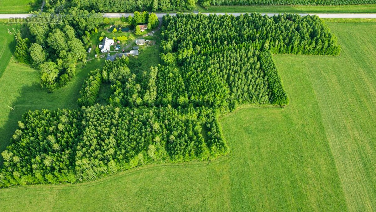 25,9855 Ha Žemės Ir Sodyba Už 135 000 €– - nuotraukos Nr. 4