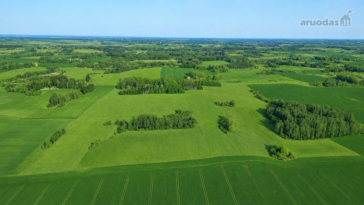 25,9855 Ha Žemės Ir Sodyba Už 135 000 €– - nuotraukos Nr. 6