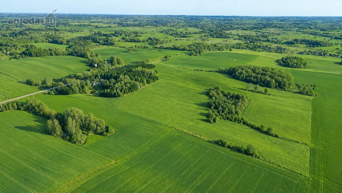 25,9855 Ha Žemės Ir Sodyba Už 135 000 €– - nuotraukos Nr. 7