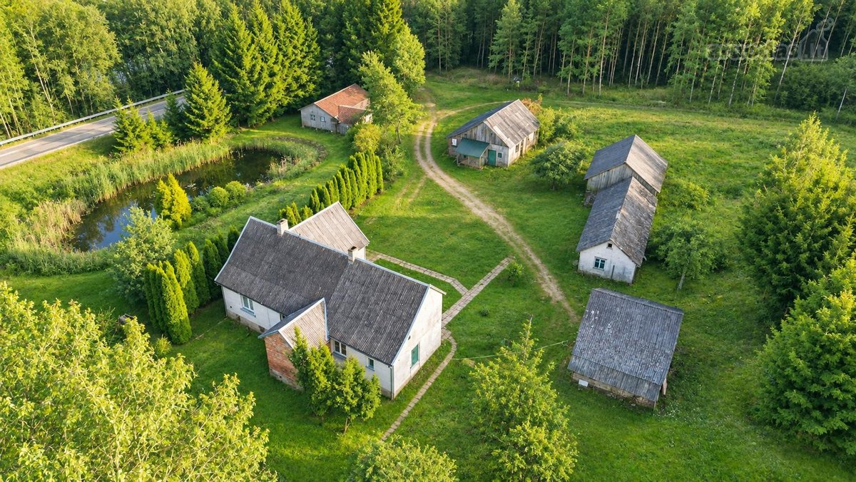 25,9855 Ha Žemės Ir Sodyba Už 135 000 €– - nuotraukos Nr. 9