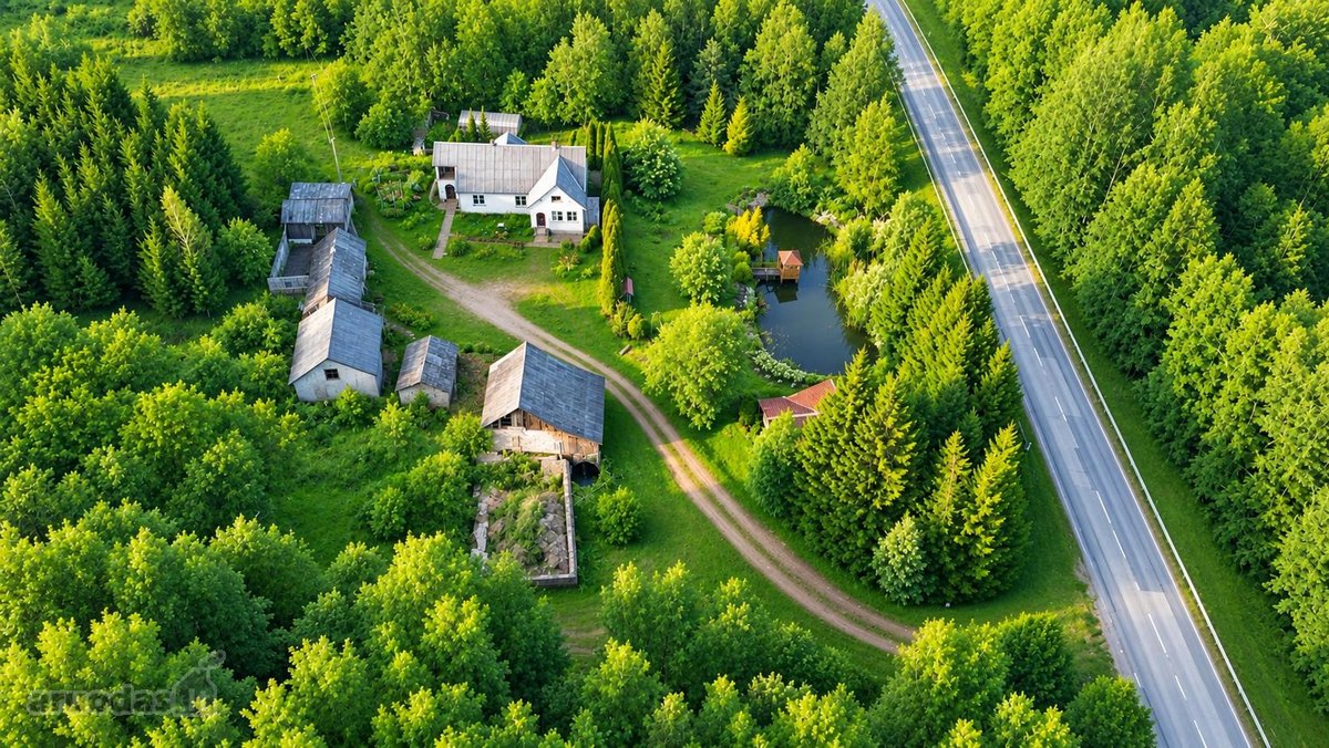 25,9855 Ha Žemės Ir Sodyba Už 135 000 €– - nuotraukos Nr. 11