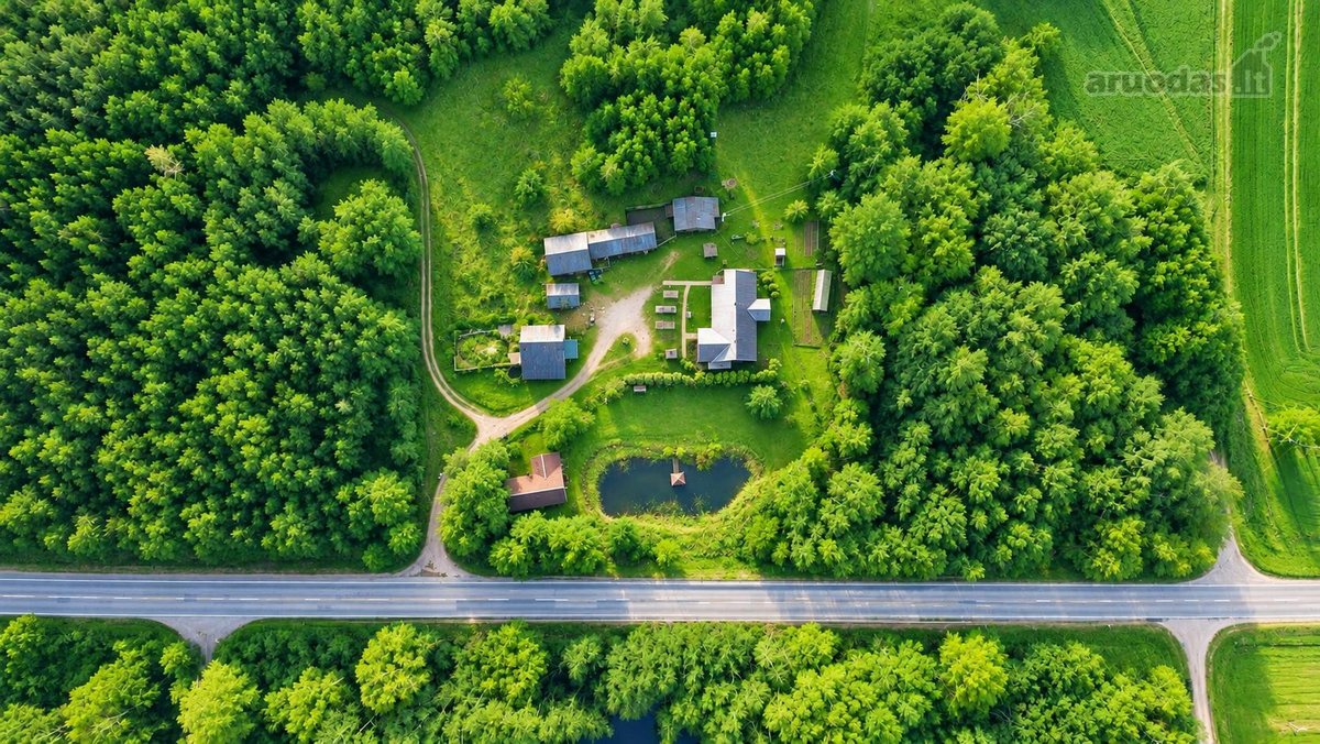 25,9855 Ha Žemės Ir Sodyba Už 135 000 €– - nuotraukos Nr. 12
