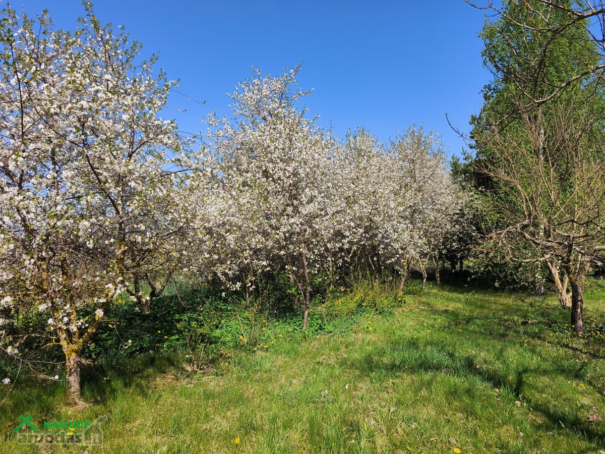 Parduodama Rąstinė Sodyba Su Tvenkiniu Biržų - nuotraukos Nr. 16