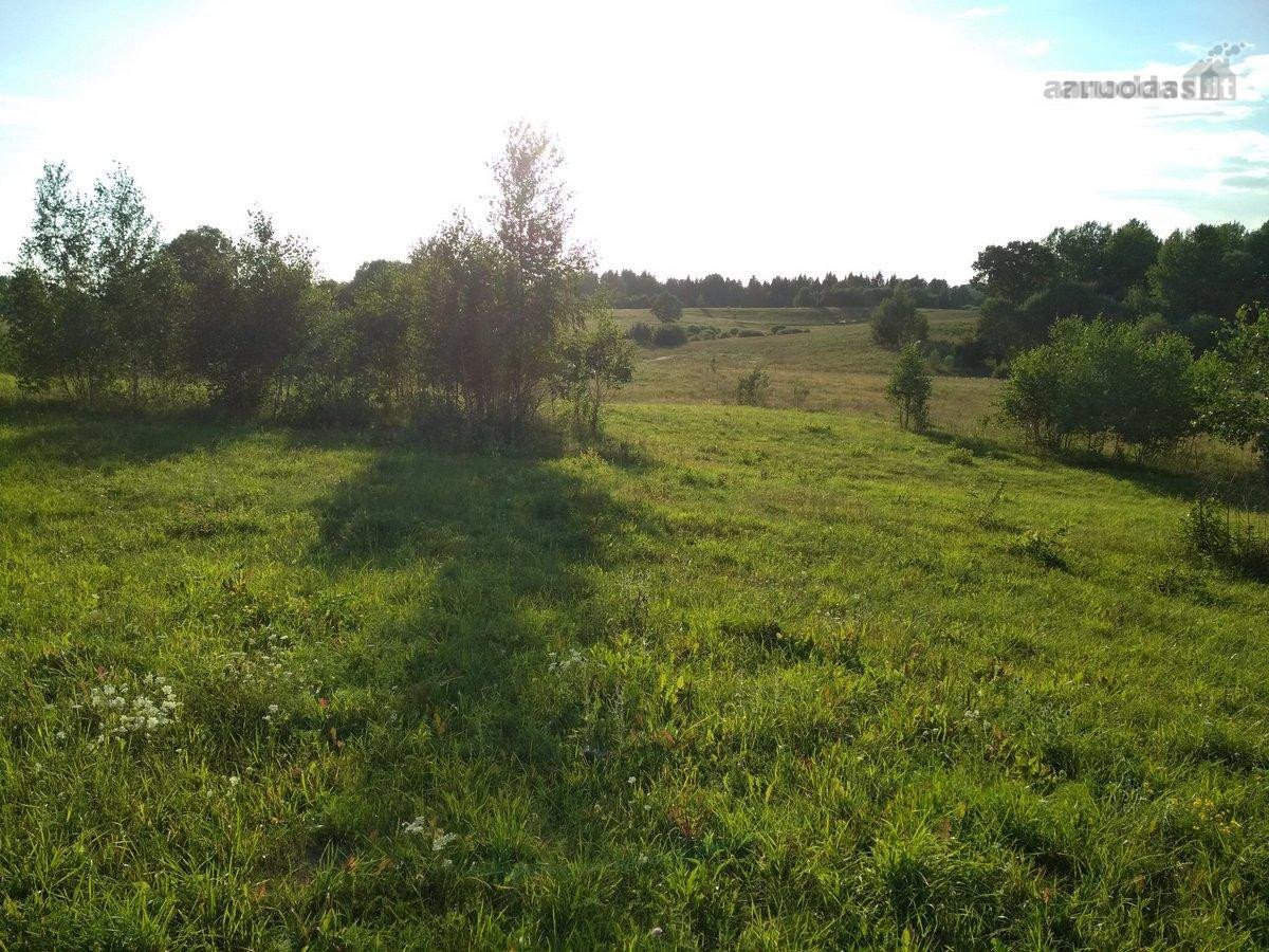 200 arų sklypas Eitminiškėse – gamtos - nuotraukos Nr. 3