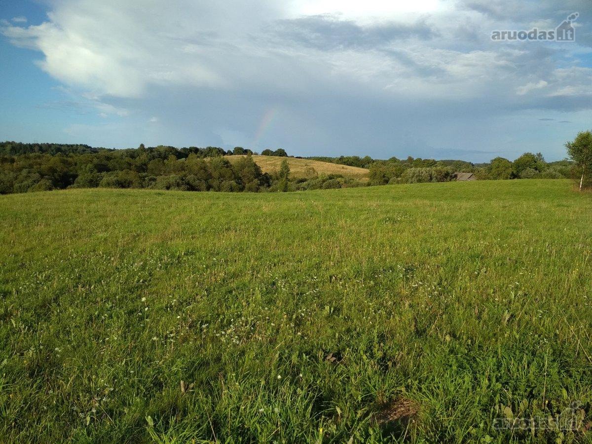 200 arų sklypas Eitminiškėse – gamtos - nuotraukos Nr. 5