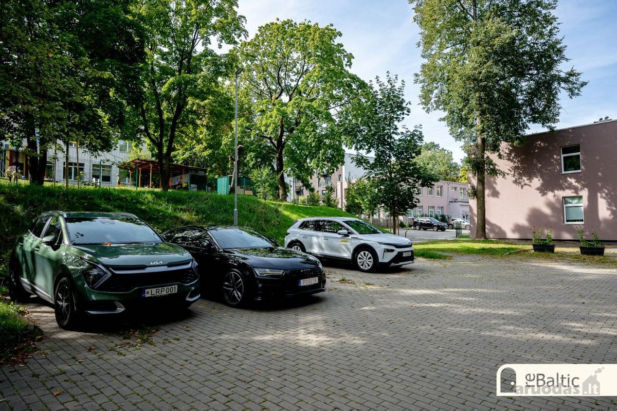 Ilgamečių medžių lajų žaluma, saulės - nuotraukos Nr. 31