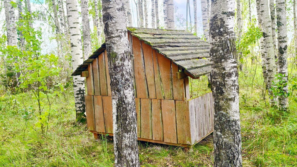Parduodama Išskirtinė Sodyba–vienkiemis Su - nuotraukos Nr. 36